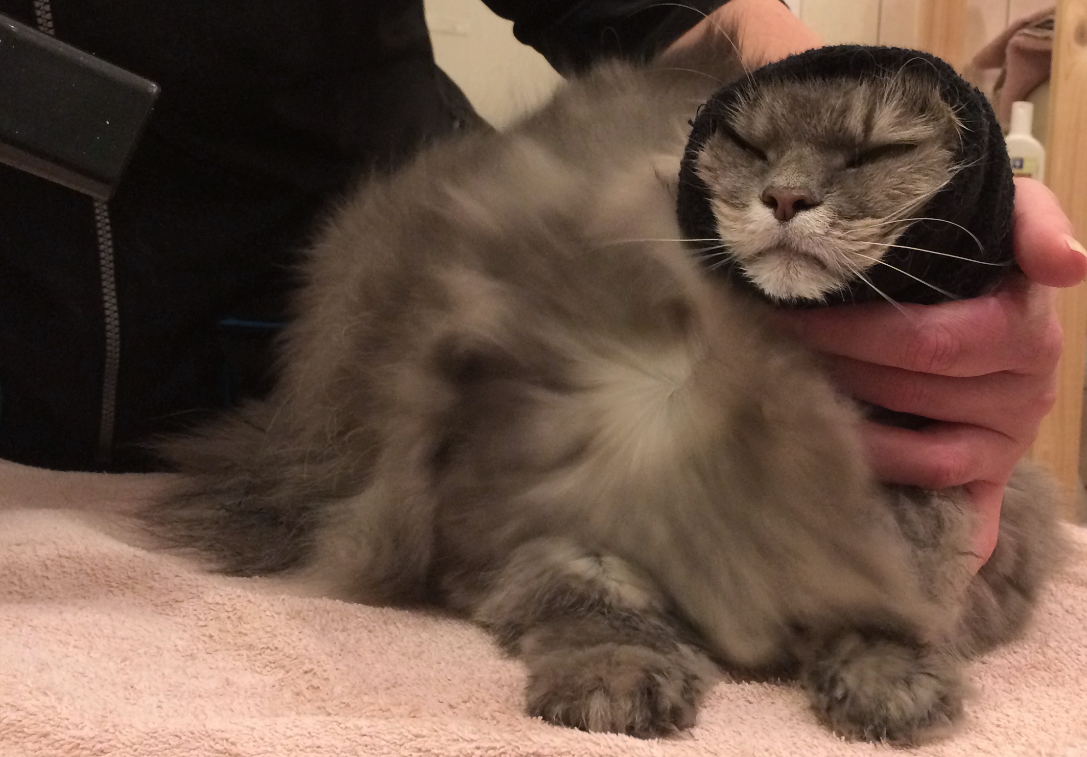 Happy Hoodie For Dog Anxiety Relief